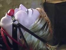 Ropes, Ball Gag And Latex