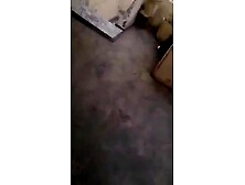 Arab couple caught cheating