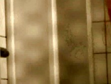 Swimming Pool Shower