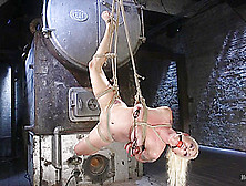 Lorelei Lee The Pope In Lorelei Lee Submits In Brutal Bondage With Grueling Torment - Hogtied