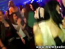 Real party harlots in group get spunk fountain