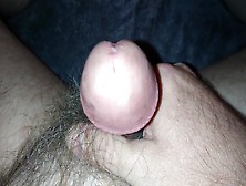 Hairy Bear Cock Jerkoff Precum