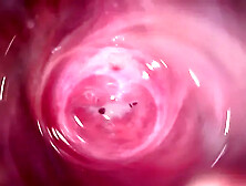Camera Inside My Tight Creamy Pussy,  Internal View of My Horny Vagina