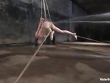 Asian Hottie Is Hogtied Upside Down And Slammed With Hard Water