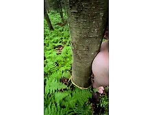 Sexy Blonde Gets Dirty In The Forest