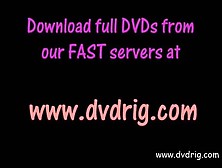 Fuck Brue Tied DVDrip. mp4