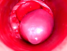 Inside a Camgirl Cervix POV Camera in Pussy with large wang toy