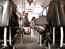 Assfucked In The Buss