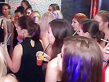 European Party Amateur Cocksucking On Dancefloor