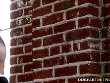 Insemination Specialist Screws Kyler Quinn - Cuckold Sessions