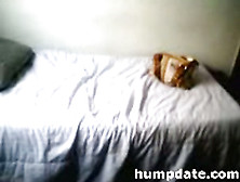 Wife enjoys to get slammed and slapped