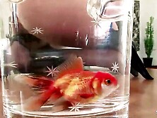 Eager hairless head female Boss entice Ebony Monster Rod Worker to Interracial Unfathomable Screw at Office