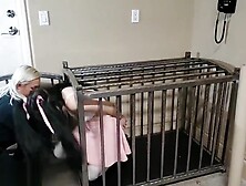 Pet Persephone Arrested