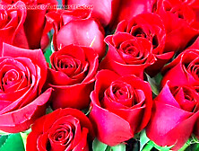 Indian bhabhi Desi Mazaa gets into some family taboo action before sex