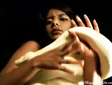 Thick Albino Python Wraps Around Indian Hottie's Naked Body