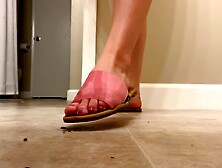 Sandal bug crush fetish by gorgeous college girl with a lot of talking (look at the description)
