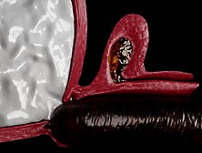 Josephine Jackson Hentai Monster Fuck - Extreme Cumflation and Multiple Creampies