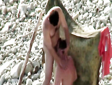 Folks Throating On The Beach