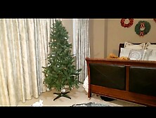 Time To Remove Christmas Tree & Decorations