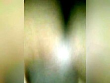 British wife creams on bbc