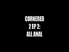 Cornered 2(Anal Fucking Only)