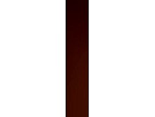 2 German ladies ravishing a hard pecker with their taut holes