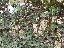 charming slim brunette hair is filmed by her boyfriend whilst this babe changes her blouse on the street