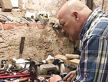 Bitches in heat in search of big hard rods Vol. 2 (Full