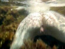 Заснял голую подругу под водой в море