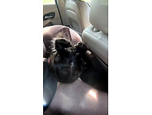 Teen Slut Gives Sloppy Blowjob in Backseat then Gets Fucked on Hood