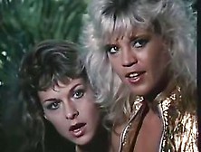 Miami Spice two...  (Vintage ) F70