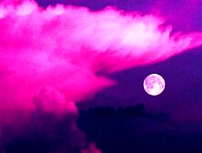 Finding Your Creative Path (guided journaling)