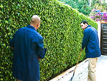 Trimming Her Bush