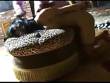 PST- Poor Little Rich Girl