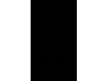 Ashlynn Shea Soaks His Cock