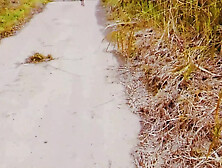 Latest Indian Village Porn with Young Desi Couple