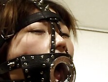 Japanese ring gag
