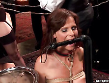 Slaves Are Humiliated At Bdsm Party