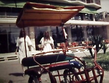 Geil unter Palmen (Viola Film)