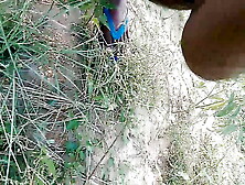 Indian Boy Outdoor Xxx Video