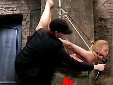 Hogtied blonde tied to pully whipped