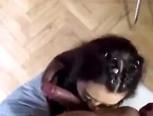 Michelle B&aacute;ez.  Mich Bunny1