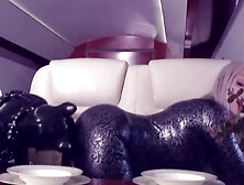 Rubber Petting Video - Curvy Milf In Latex And Gasmasked Submissive