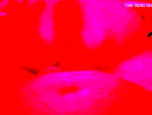 Real homemade sex with my wife night