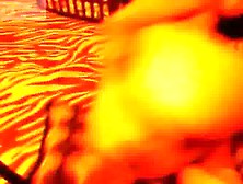 Hottie, Doggy Style Ass, Inc Vibrator and Brush