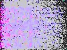 Adam Und Eva: Madchen die es gerne mache