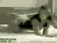 Ali Lapdance upscaled