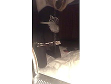 Sissy Jenny Stripping And Fucking