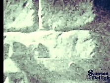 Samson & Delilah 1928: Taken to Gaza (Philistines)