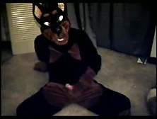 Doberman Fursuiter Pawing Off